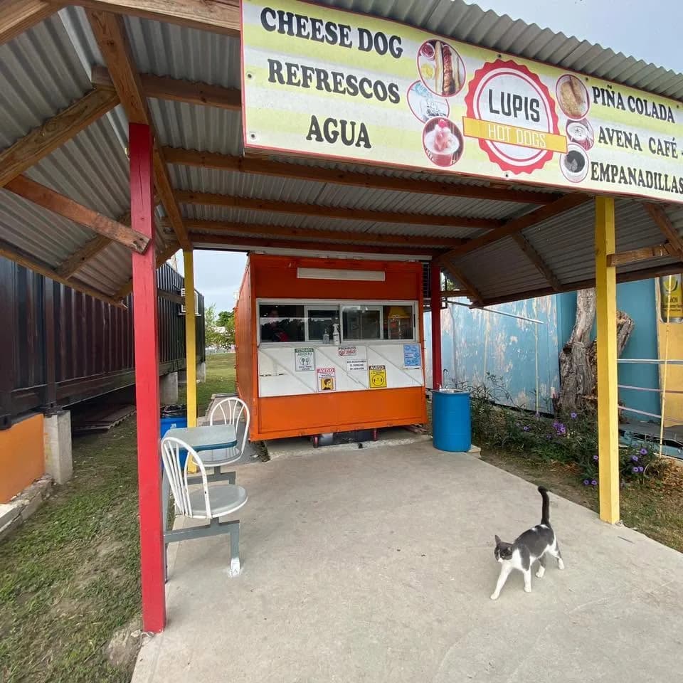Logo de LUPIS HOT DOGS / café